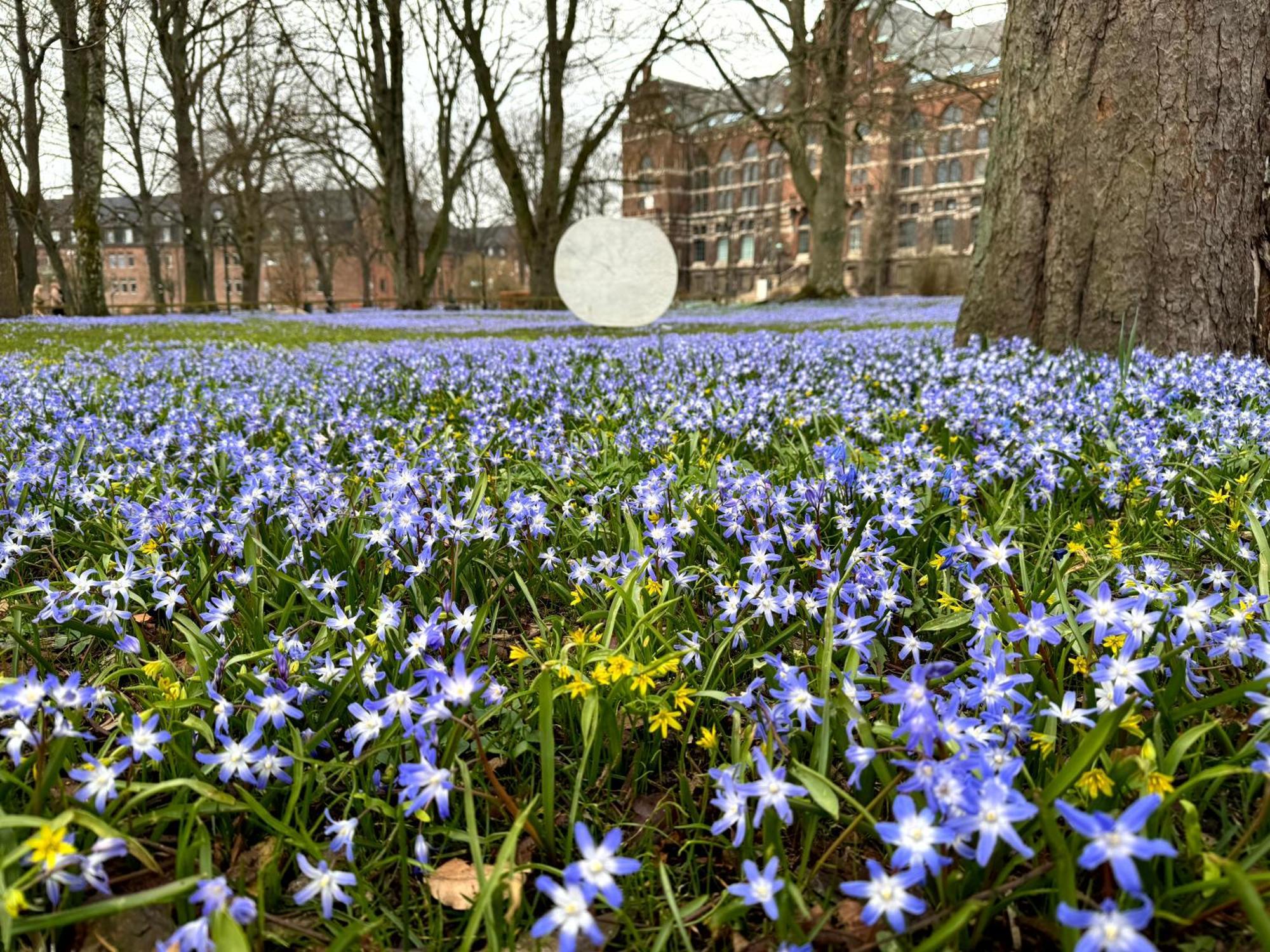 Apartmán The Embassy Lund Exteriér fotografie